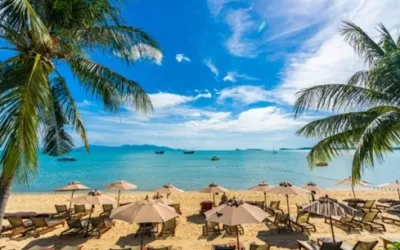 Las mejores rutas para recorrer en coche por Aruba