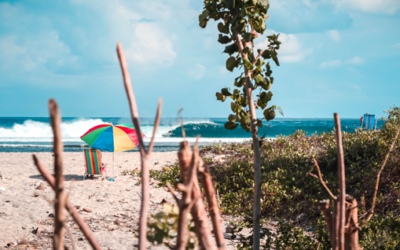 Aventuras en Aruba, descubriendo los tesoros ocultos de la isla