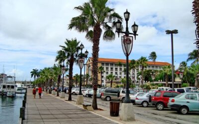 Alquiler de autos en Aruba: Opiniones y Consejos para Elegir el Mejor