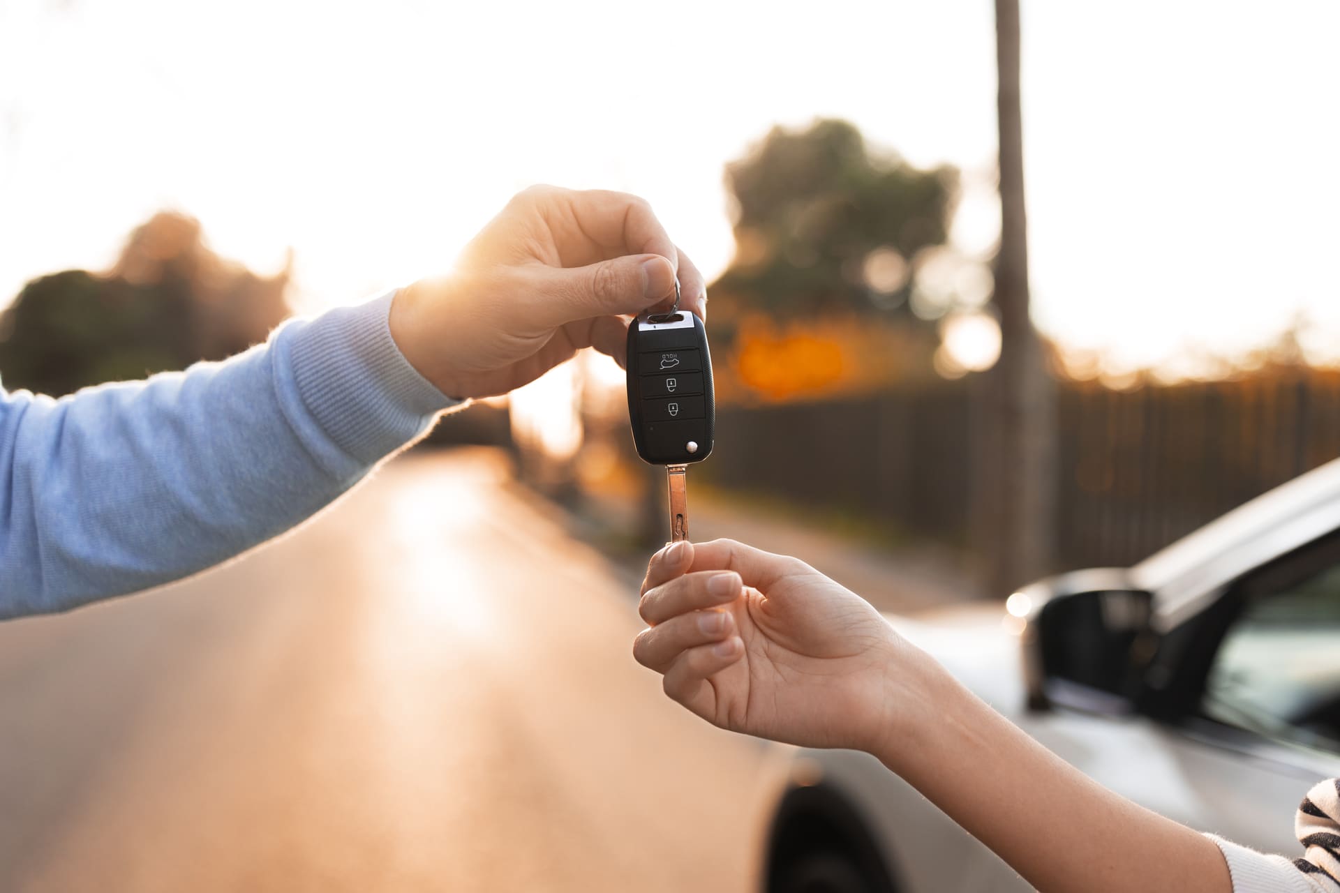persona-que-se-prepara-para-obtener-el-permiso-de-conduccion coches de alquiler baratos en Aruba